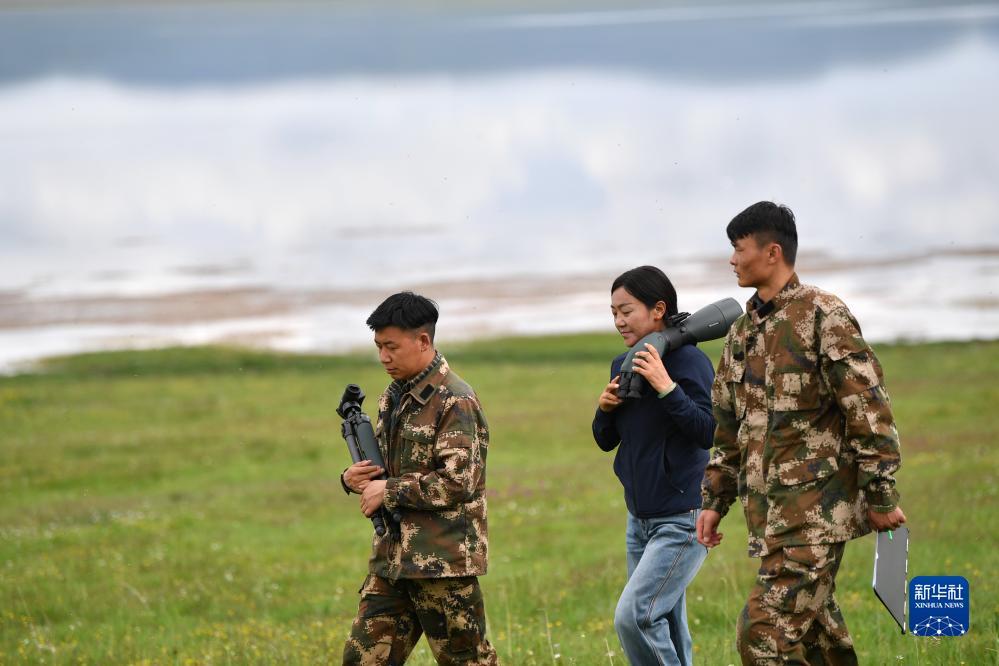 巴黎人双轮盘